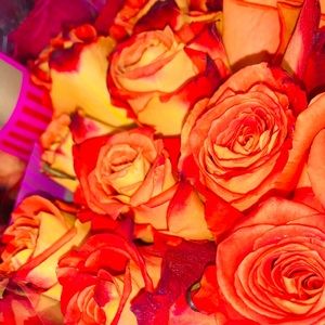 Meet your Posher, Hailee